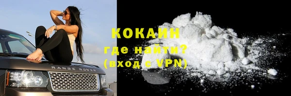 ГАЛЛЮЦИНОГЕННЫЕ ГРИБЫ Белокуриха