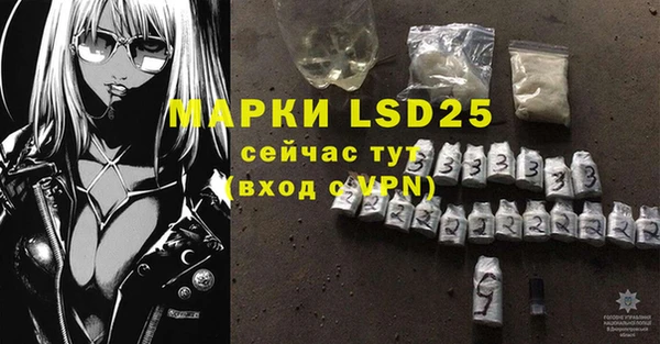 ГАЛЛЮЦИНОГЕННЫЕ ГРИБЫ Белокуриха