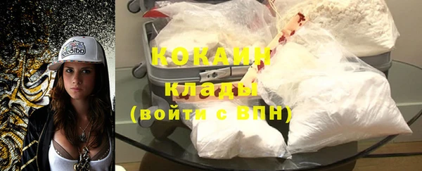 ГАЛЛЮЦИНОГЕННЫЕ ГРИБЫ Белокуриха